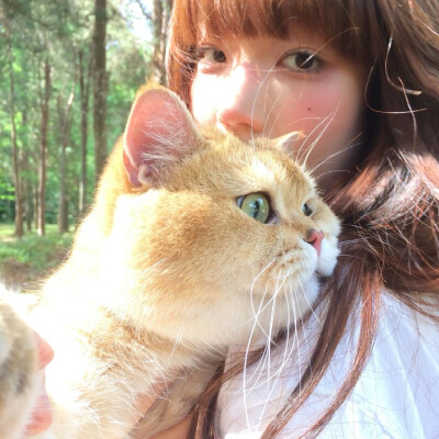 女生头像 抱猫