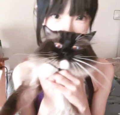 女生头像 抱猫