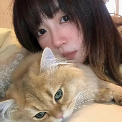 女生头像 抱猫