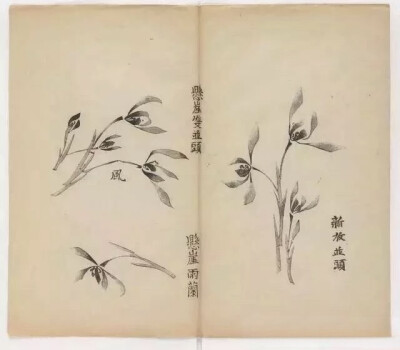 明末胡正言编印的《十竹斋书画谱》是一本书画册，兼有讲授画法供人临摹的功能。分为书画、墨华、果谱、翎毛、兰谱、竹谱、梅谱、石谱八大类，收入他本人绘画作品和复制古人及明代的名作三十家。每谱中大约有20幅画，…