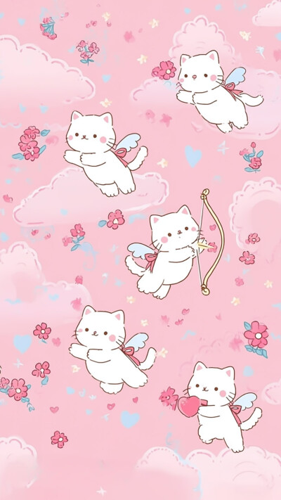 猫咪