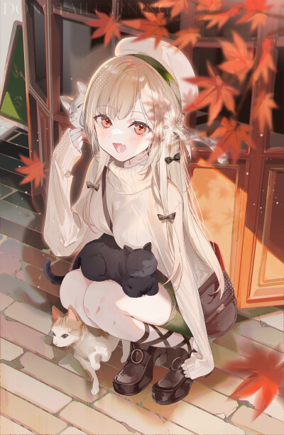 画