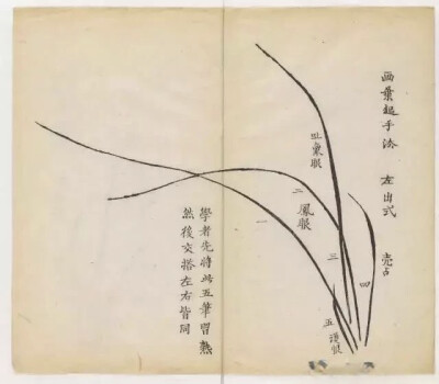 明末胡正言编印的《十竹斋书画谱》是一本书画册，兼有讲授画法供人临摹的功能。分为书画、墨华、果谱、翎毛、兰谱、竹谱、梅谱、石谱八大类，收入他本人绘画作品和复制古人及明代的名作三十家。每谱中大约有20幅画，…