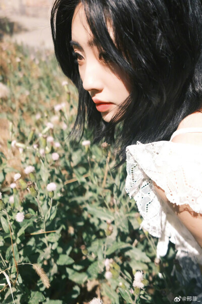 邢菲