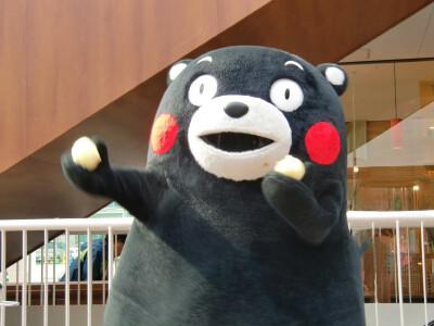 熊本熊