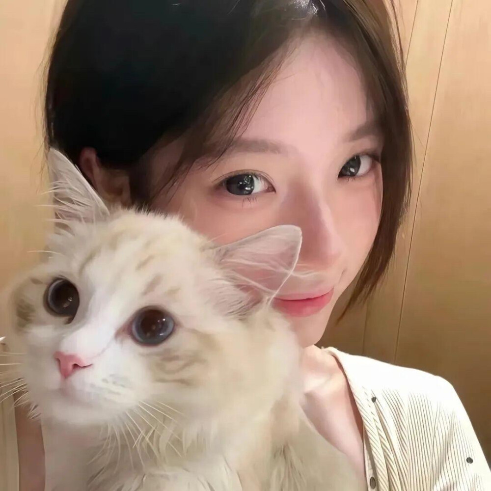 女生头像 抱猫