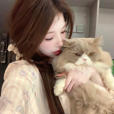 女生头像 抱猫