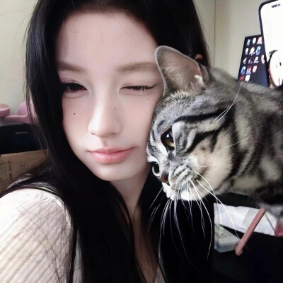 女生头像 抱猫