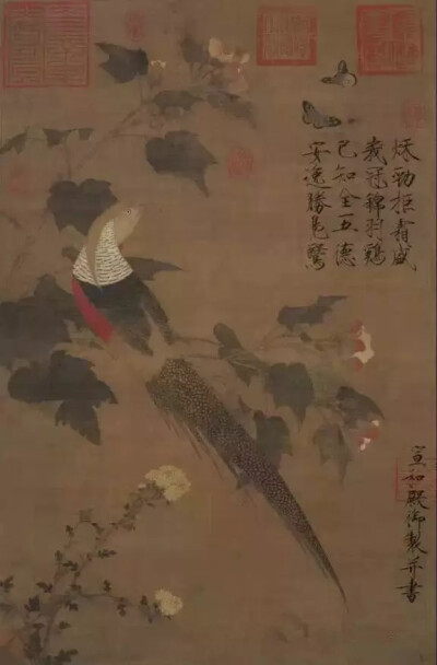 宋徽宗 赵佶 芙蓉锦鸡图 绢本设色 81.5×53.6厘米 现藏北京故宫博物院