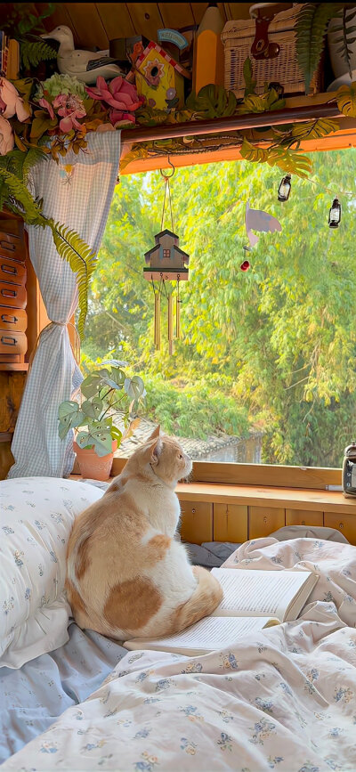 夏日壁纸