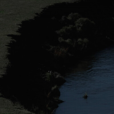 维多利亚港的雾气爬上睫毛，整个城市像泡在咸涩的泪水里。伸手去摸电梯的钢壁，金属表面沁出细密的水珠，如同香港永不结痂的伤口。