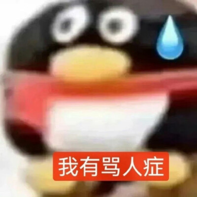 抽象表情包sakuya
