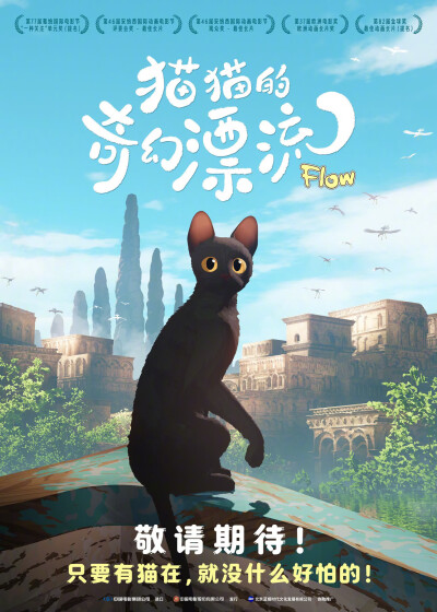 《猫猫的奇幻漂流》