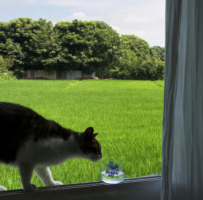 绿色背景图