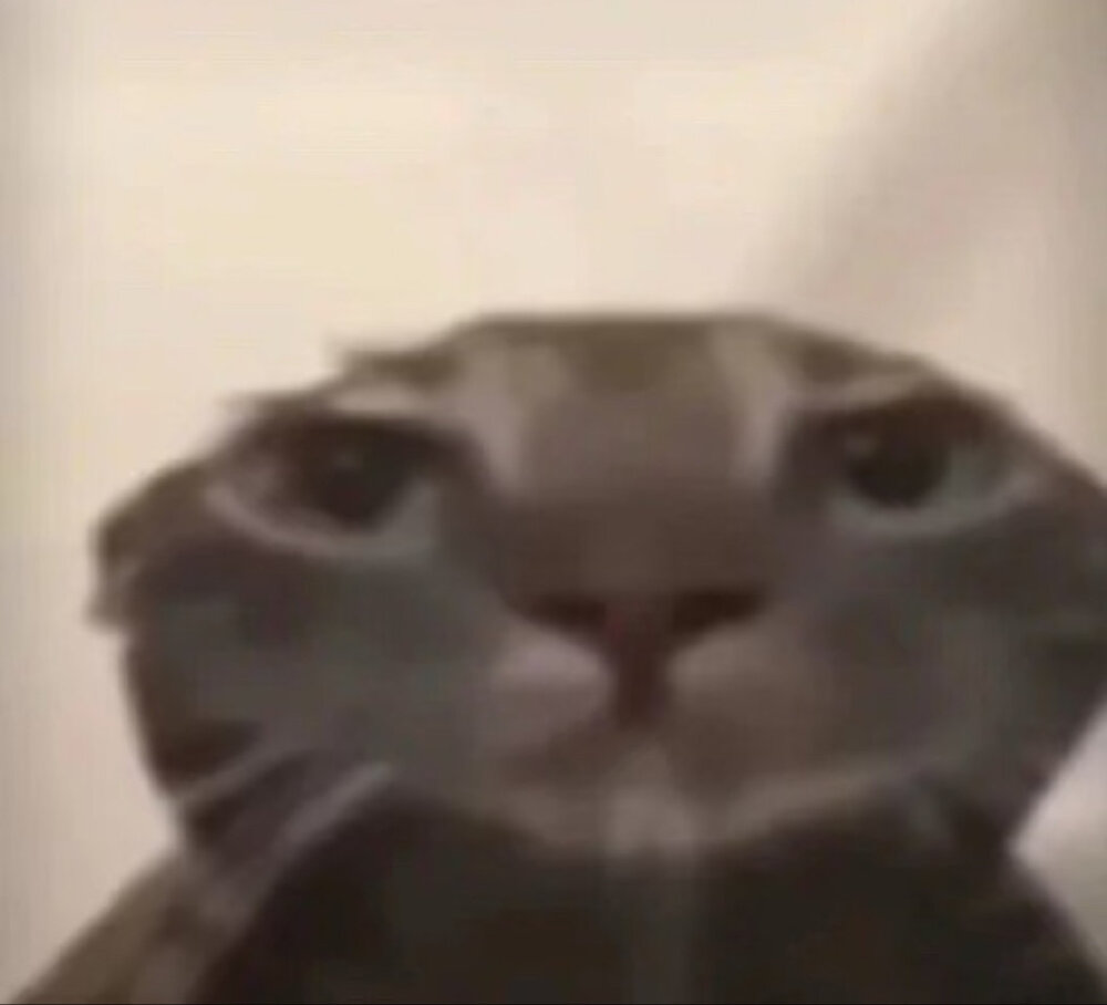 抽象表情包sakuya