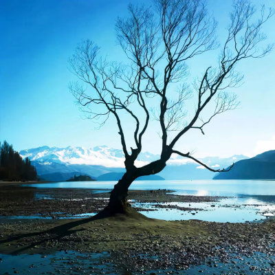 ‎#ليس قوة خارقة