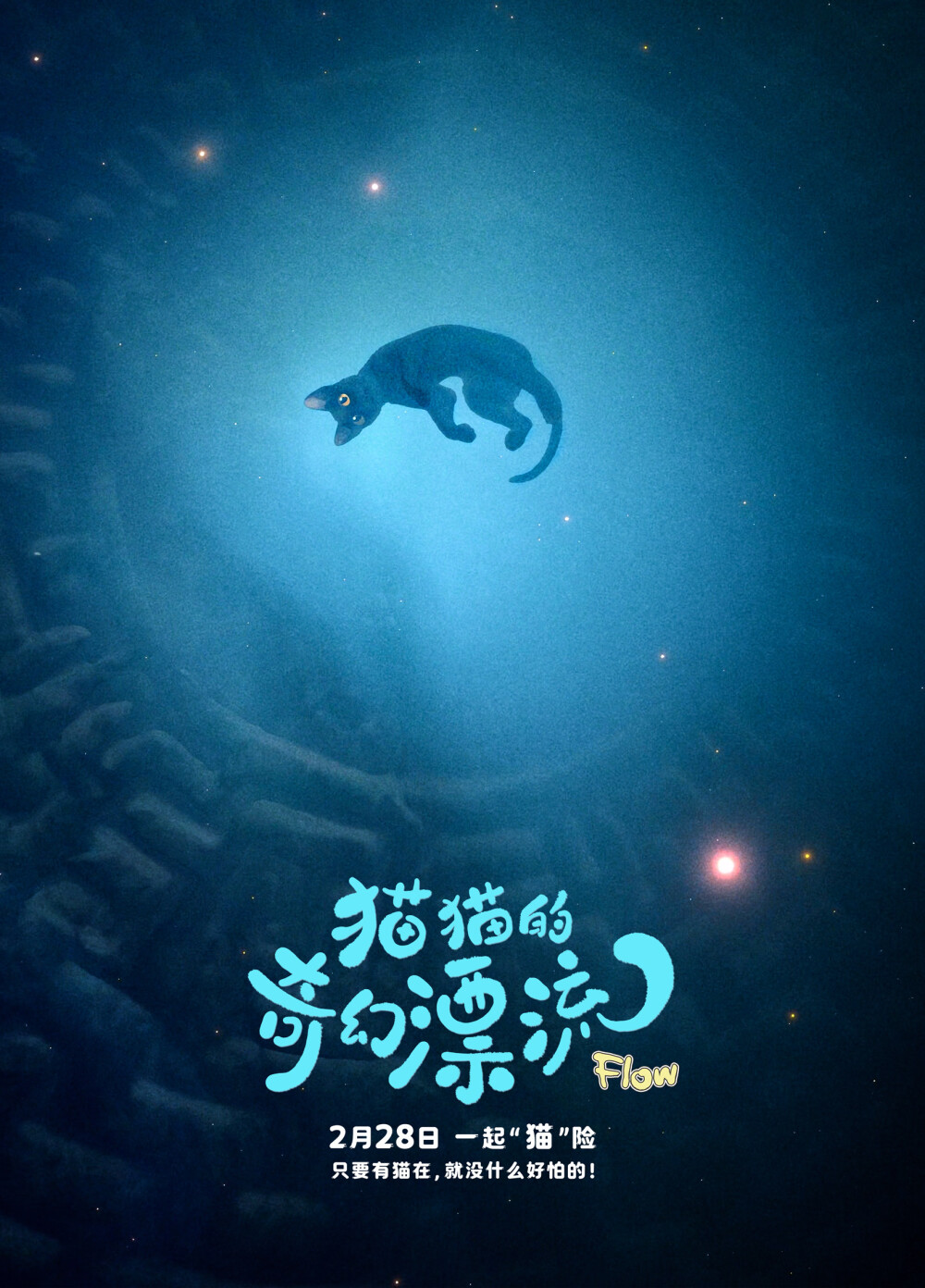 《猫猫的奇幻漂流》