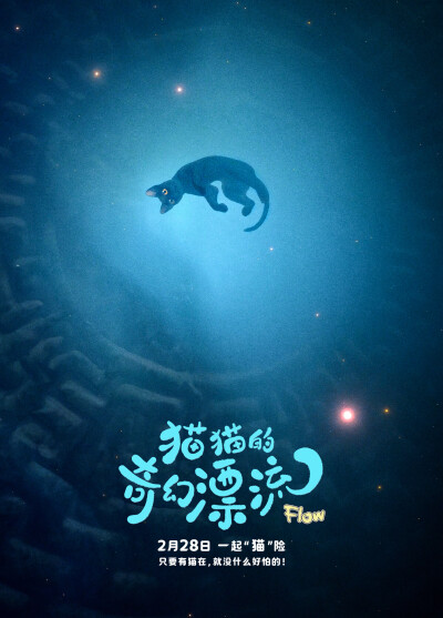 《猫猫的奇幻漂流》