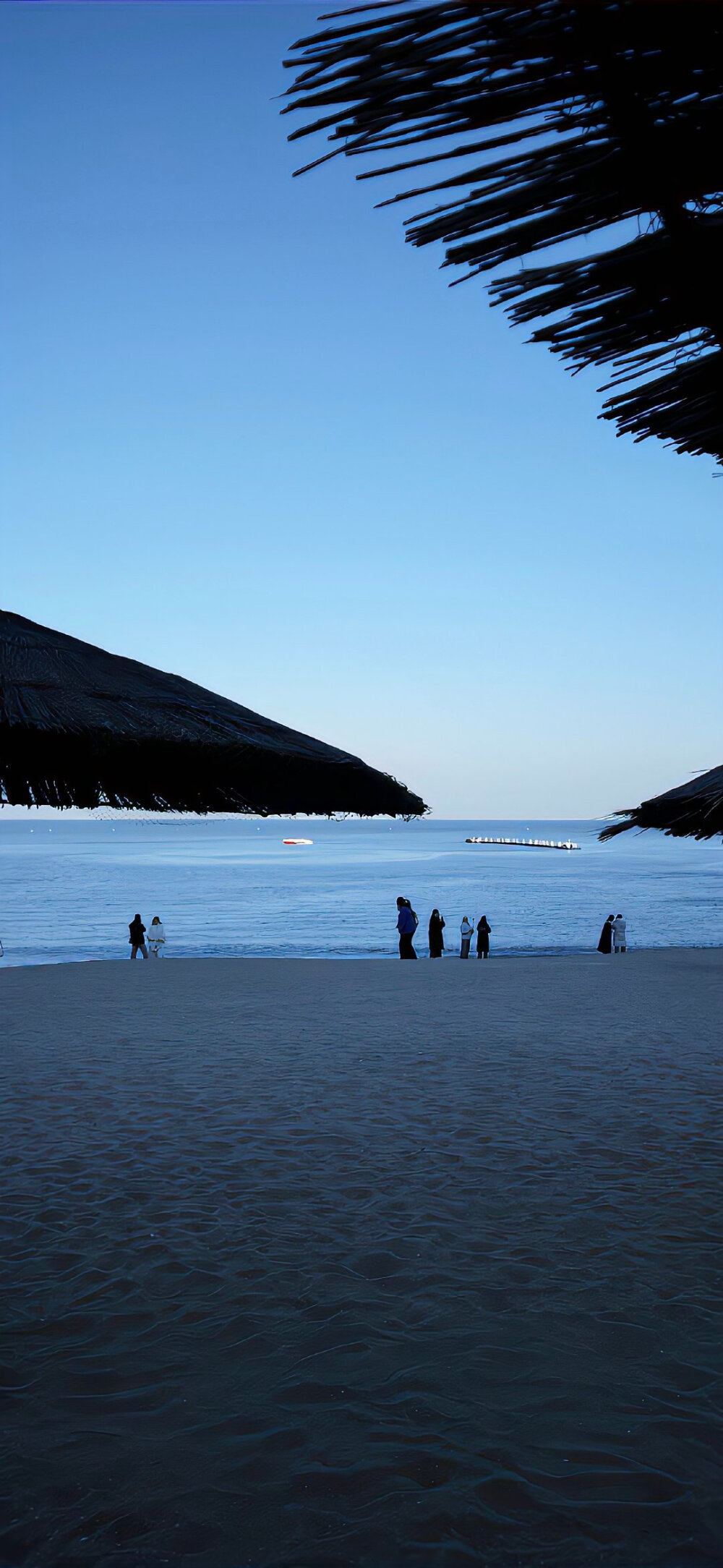 夏日壁纸