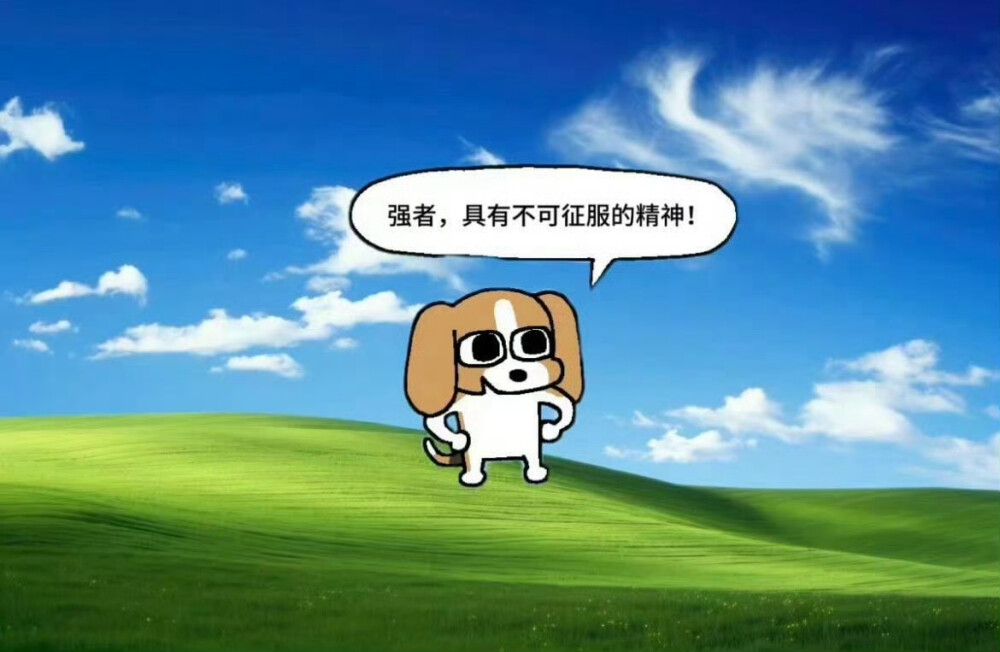 表情包抽象 屎表情包 刘梓晨