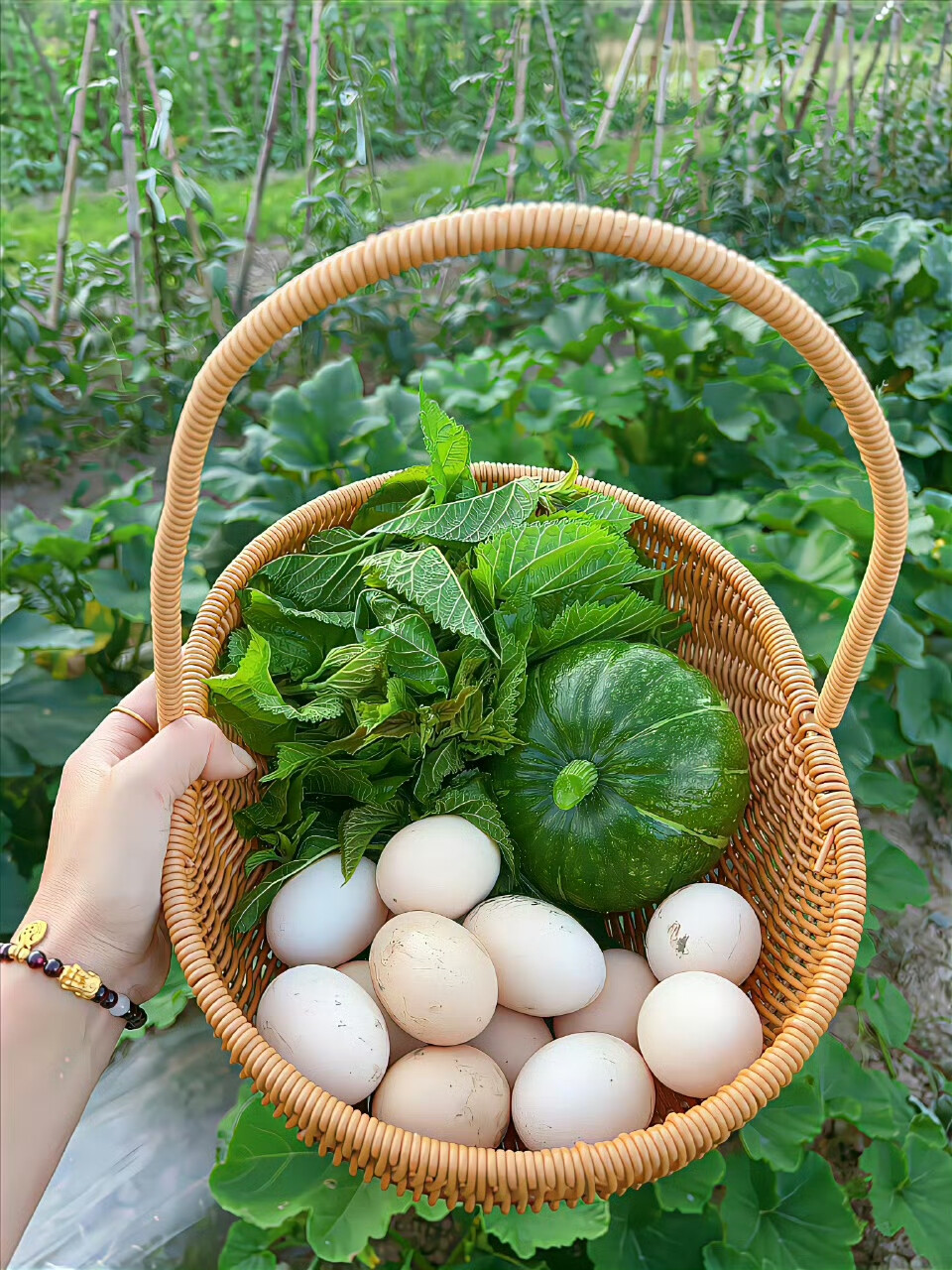 田园生活 ​​​