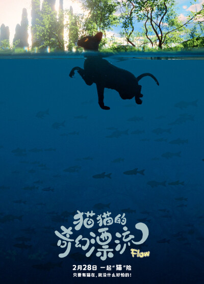 《猫猫的奇幻漂流》