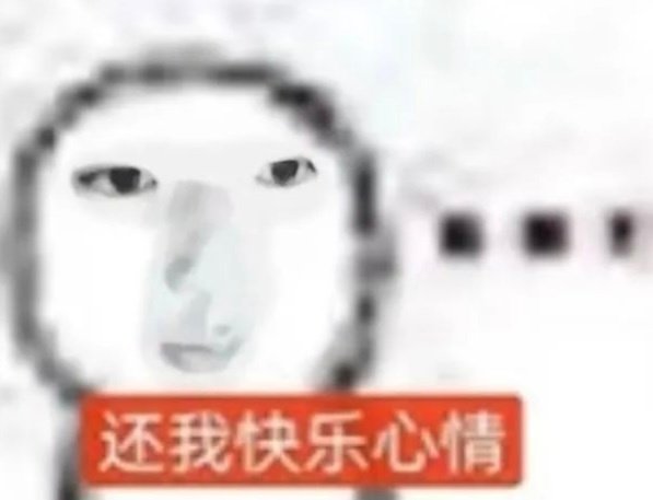 抽象表情包sakuya