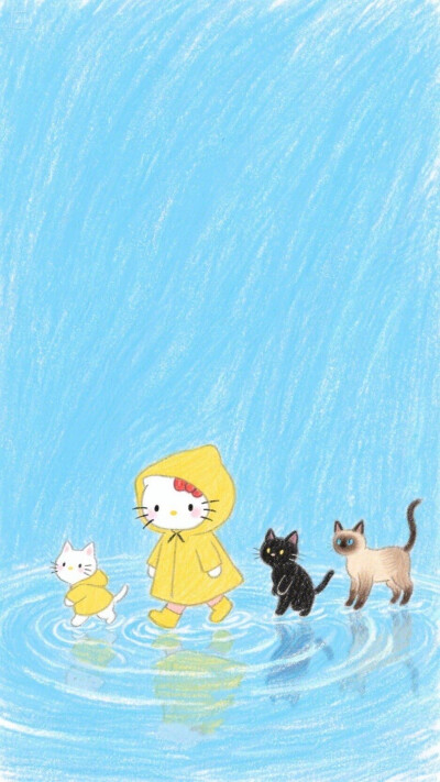 Kitty酱