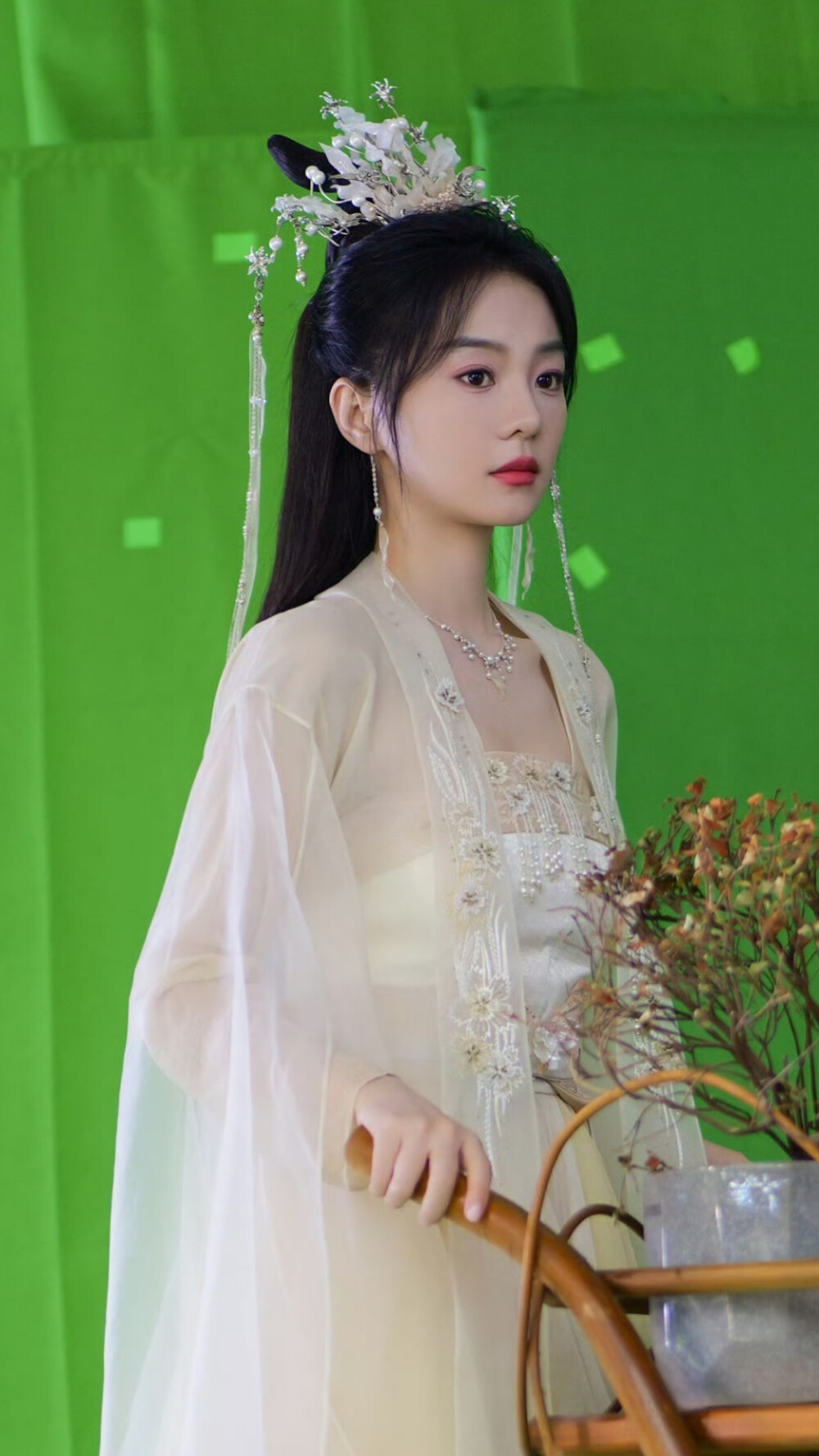 落花时节又逢君 红凝 胡意璇