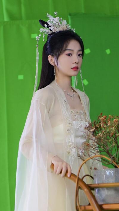 落花时节又逢君 红凝 胡意璇
