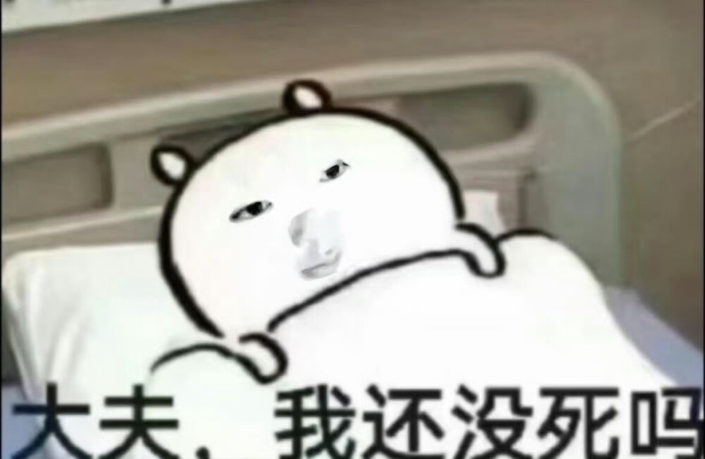 抽象表情包sakuya