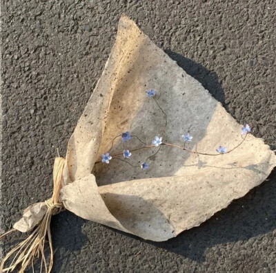 也许说我爱你这感觉一定很假