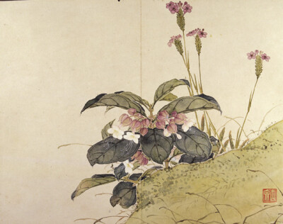 居廉《鬼灯笼、鬼箭羽》 1856—1864年 广东省博物馆藏