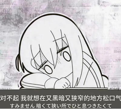 电波宅