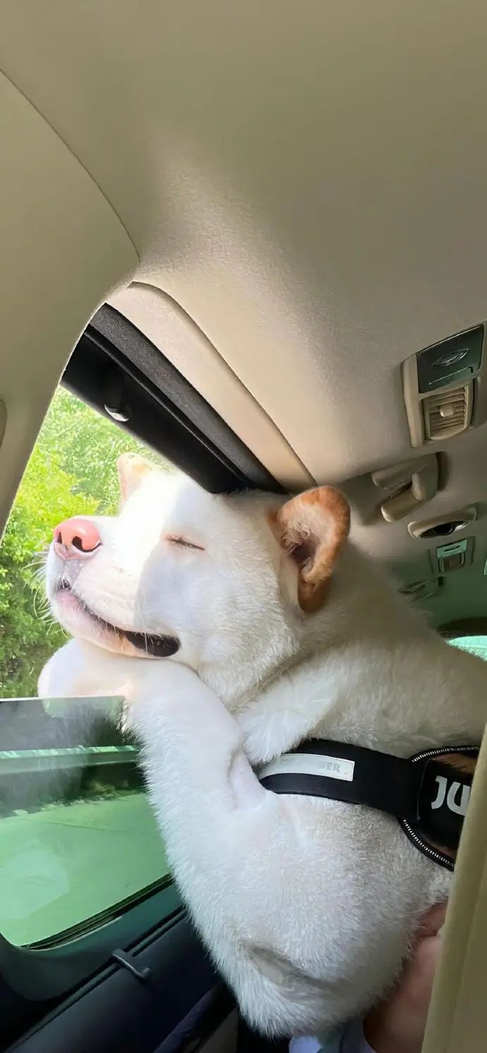 壁纸