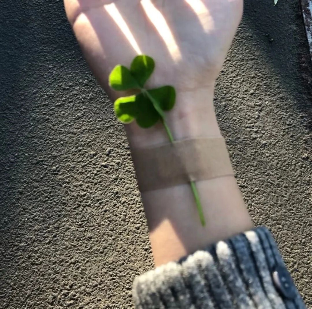 也许说我爱你这感觉一定很假