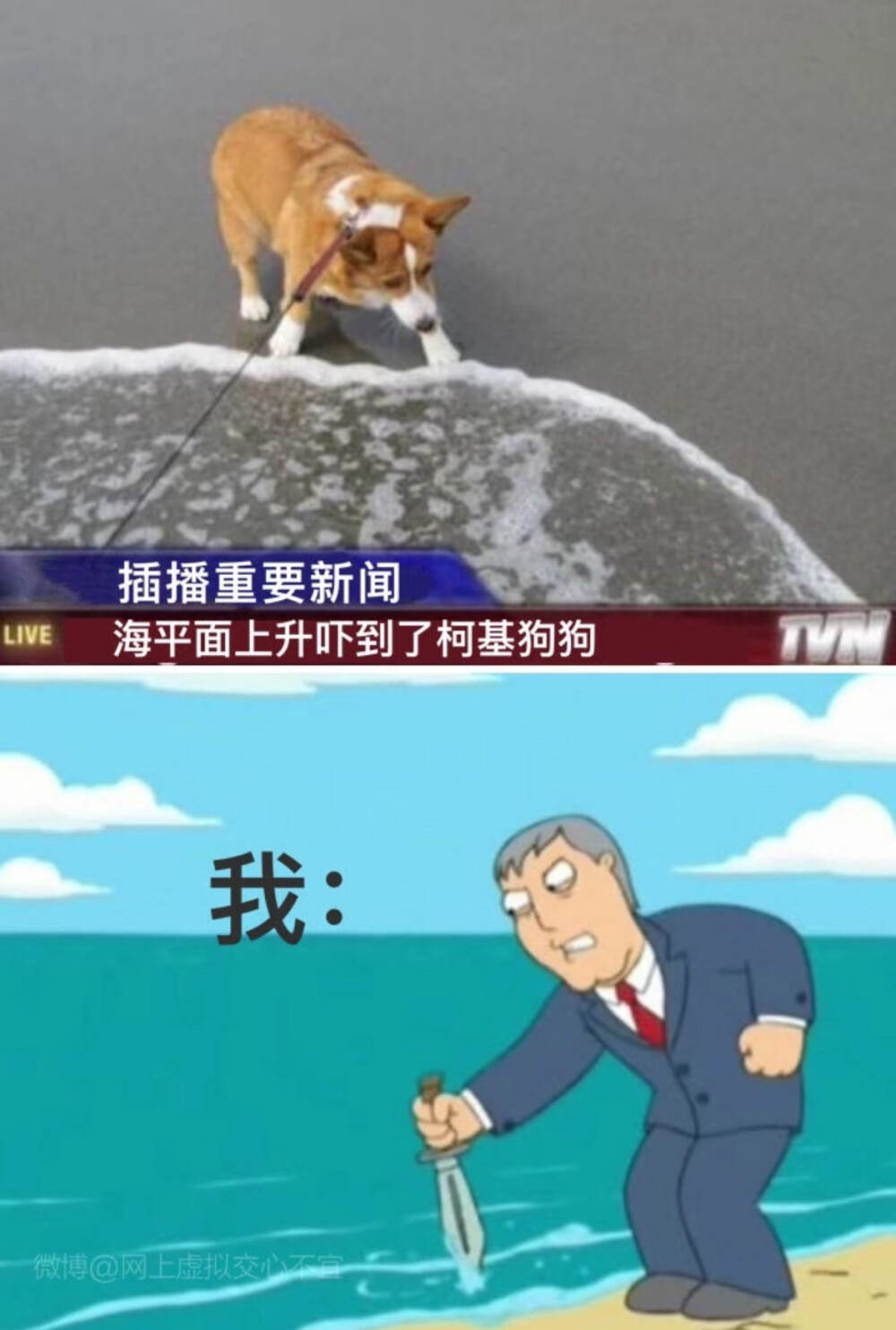 关于小狗的事也关于你也关于我