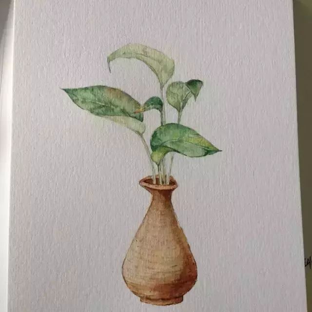 从前至后单片叶子画出细节，注意叶脉以及留白。