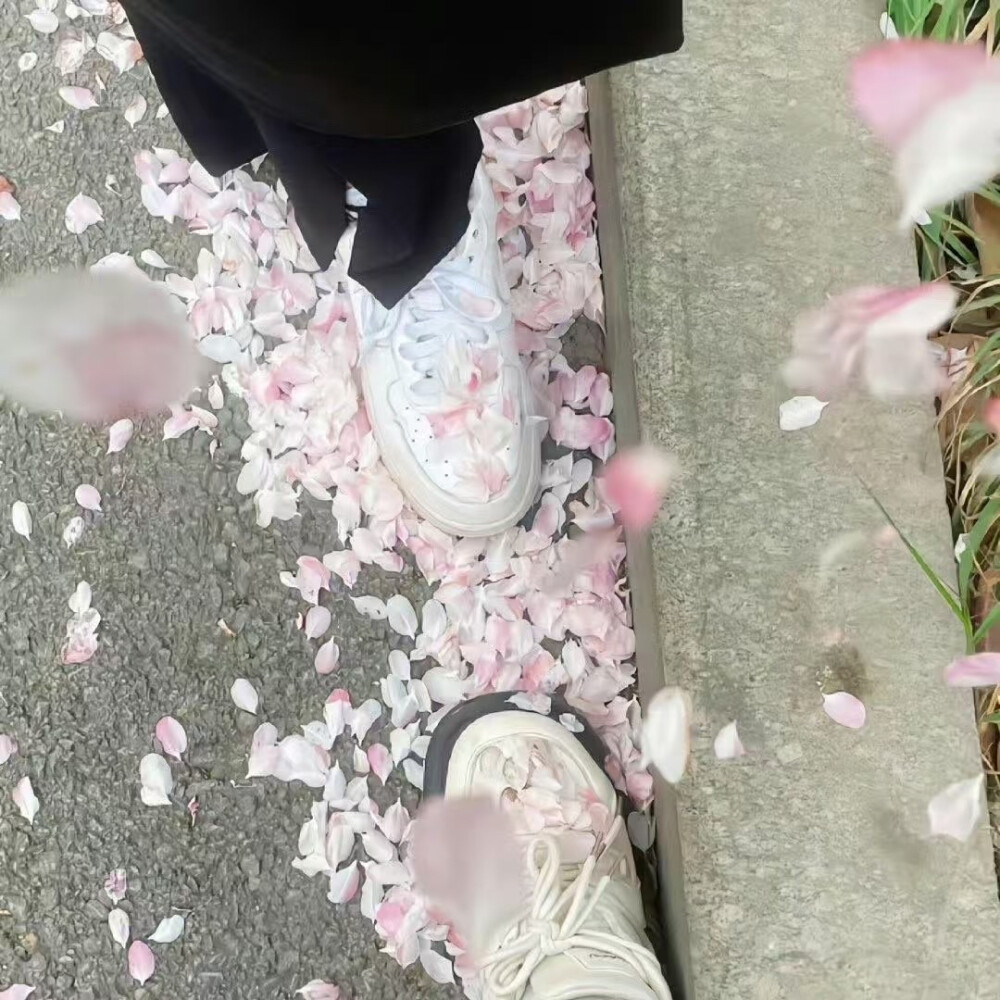 背景图