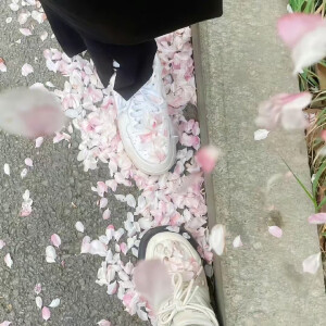 背景图