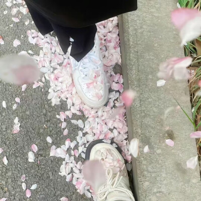 背景图