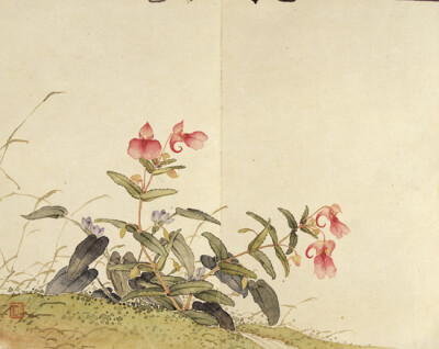 居廉《华凤仙》 1856—1864年 广东省博物馆藏