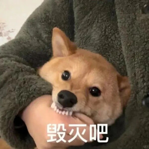 表情包
