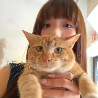 头像