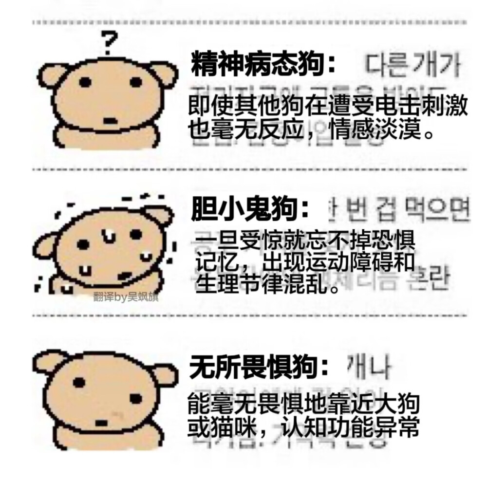 nudeoke你是最可爱的狗