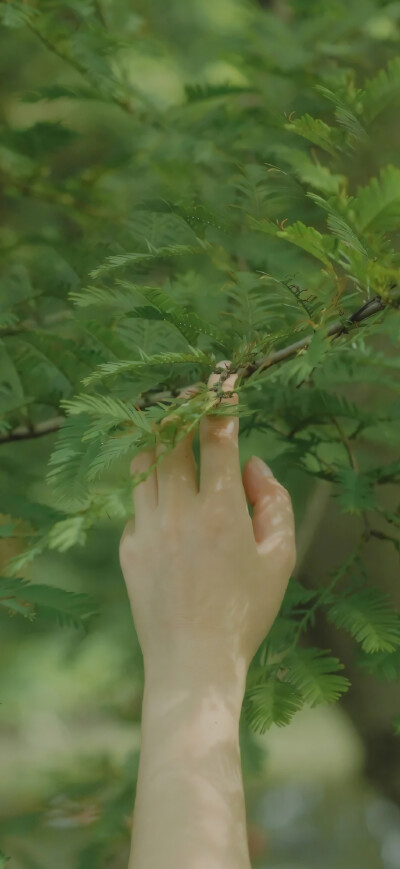 高清壁纸