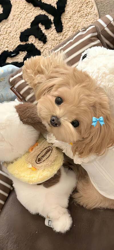 壁纸