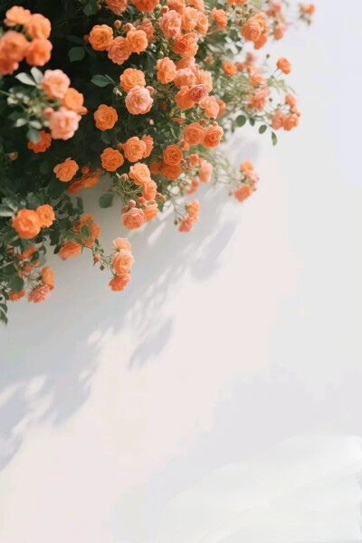 花朵