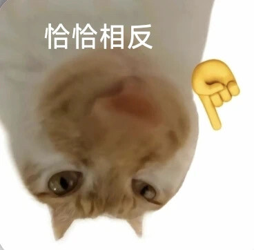 沙雕猫咪表情包