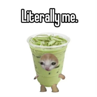 抹茶